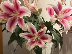 -沐森 •疗愈头疗馆(打浦桥店)