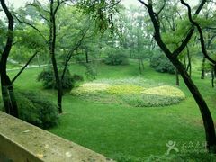 草坪-沈阳植物园