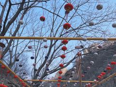 -黑龙潭风景区