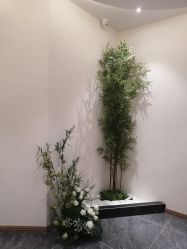 -御品•瑶浴灸疗SPA
