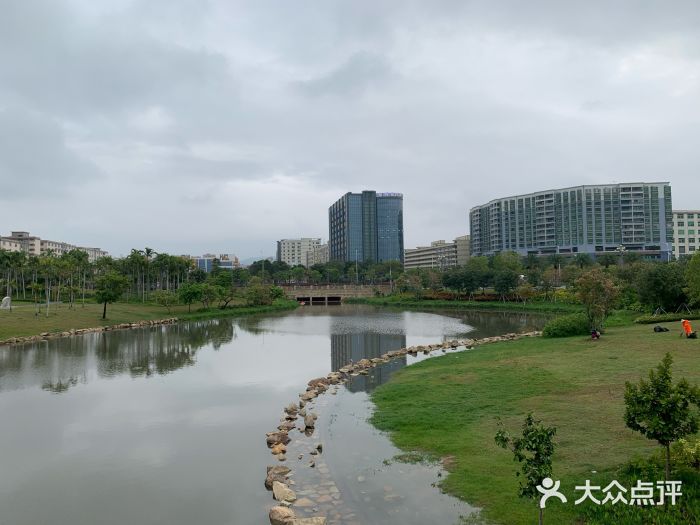 宝安西湾红树林湿地公园图片