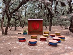 -北海金海湾红树林生态旅游区