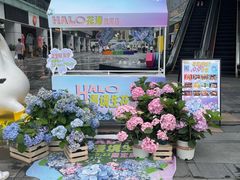 -HALO广场(梨园路店)