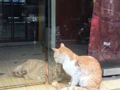 -祥和里餐饮美食一条街