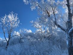 -长白山凯悦酒店·市集咖啡厅