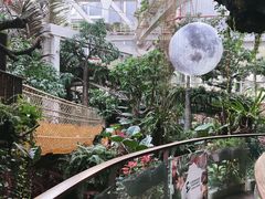 -正佳雨林生态植物园