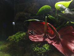 -暹罗海洋世界