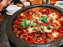 -陈眼镜火锅(总店)