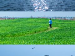 -洪湖湿地生态园