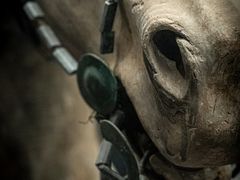 -秦始皇帝陵博物院(兵马俑)
