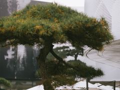 -罗红摄影艺术馆