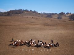 -塞罕坝国家级自然保护区