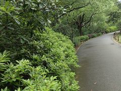 -宝岩生态观光园