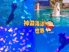 -威海华夏城景区