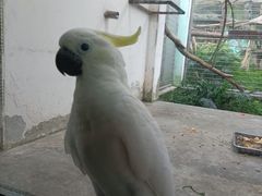 -成都动物园
