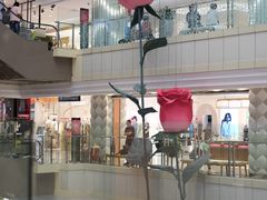 -远大购物中心(南岗店)