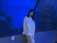 -泉城欧乐堡海洋极地世界