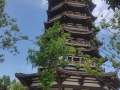 -洋湖国家湿地公园