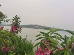 -颐和园