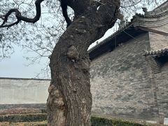 -平遥县衙