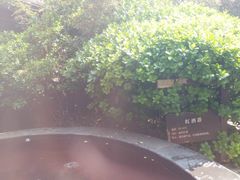 -仁爱团泊湖温泉中心