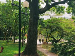 -云溪植物园