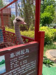 -萌宠亲子动物乐园(槐房万达店)