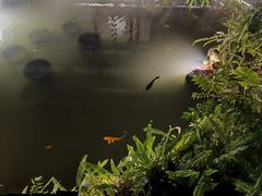 -大妙火锅·非物质文化遗产(东湖公园店)