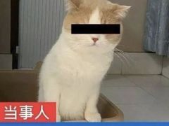 -面包与我Bread Or Me(长城汇店)