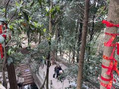 -成都老君山