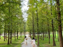 -加顺农场餐厅