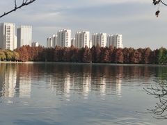 -石湖景区