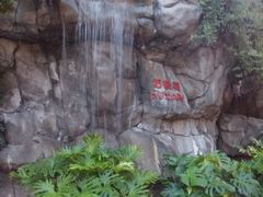 -九龙公园