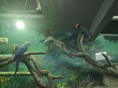 -福州罗源湾海洋世界旅游区