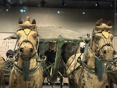 -秦始皇帝陵博物院-丽山园