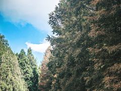 -山王坪喀斯特国家生态公园