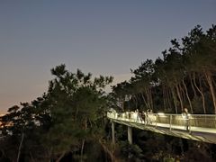 景点-仙岳公园