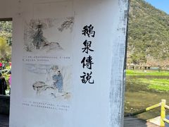 -靖西鹅泉风景区
