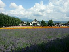 android_upload_pic-富田农场