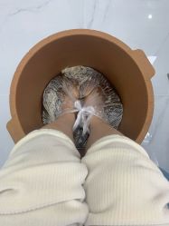 -派恩宜灰指甲鸡眼嵌甲手足癣