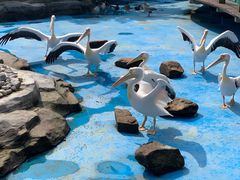 -华夏文旅海洋公园