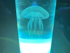 -MOSSO音乐酒吧·Live House(南京西路店)