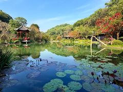 -云溪植物园