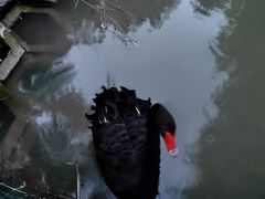 -兴芮温泉度假区