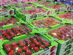-果蔬好生活超市(东湖店)
