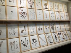 -青海藏文化博物院