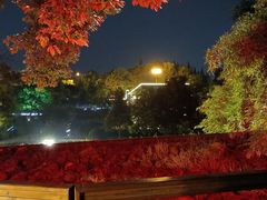 -成飞公园