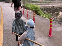 -西岭雪山大飞水景区