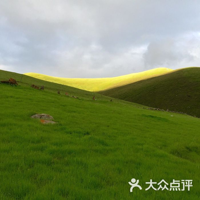 仓家峡森林公园
