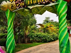 -美的鹭湖探索王国